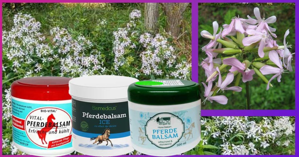 Действие на прочутия Pferdebalsam, конски крем, Дайвобет, Псоркутан или зелен крем за псориазис. Сапуниче и други билки за псориазис